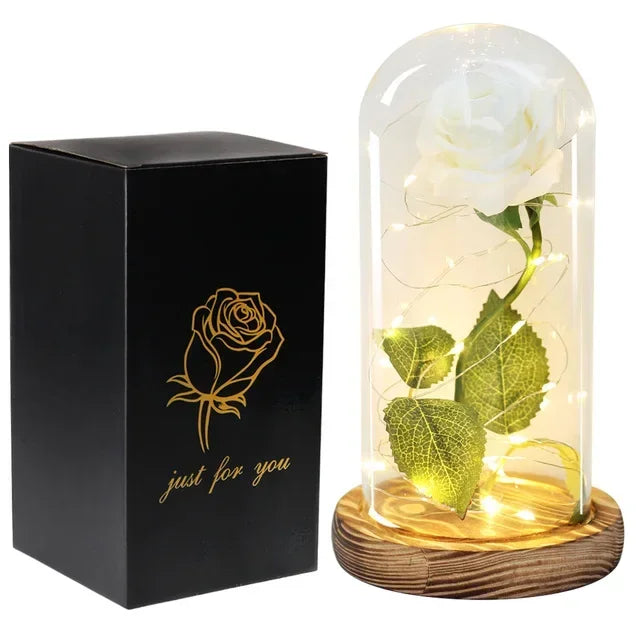 Acrylic Dome Eternal Rose Artificial Flowers Beauty and The Beast Inspired Gift for Valentine Wedding Birthday Home Decor