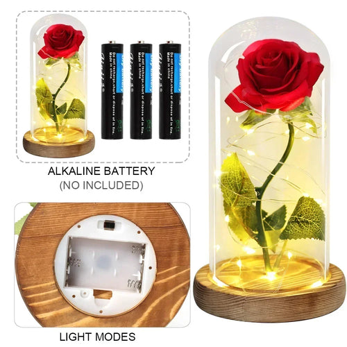 Acrylic Dome Eternal Rose Artificial Flowers Beauty and The Beast Inspired Gift for Valentine Wedding Birthday Home Decor